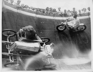 tigerRace Tiger Race